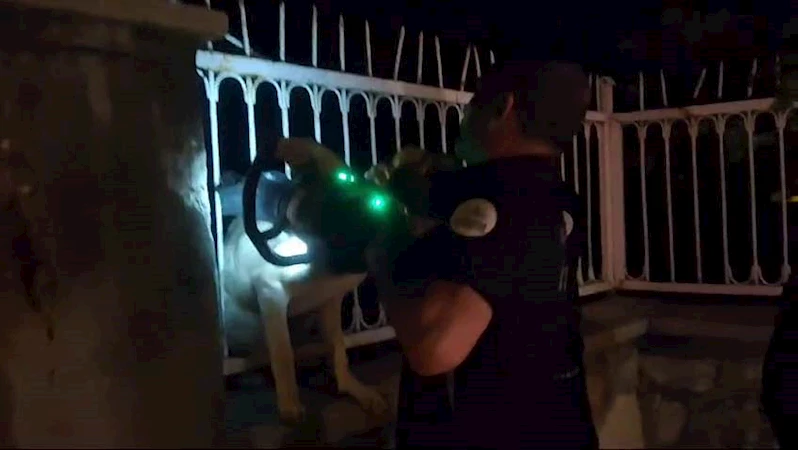 Demir parmaklıklara sıkışan köpeği itfaiye kurtardı  - Videolu Haber