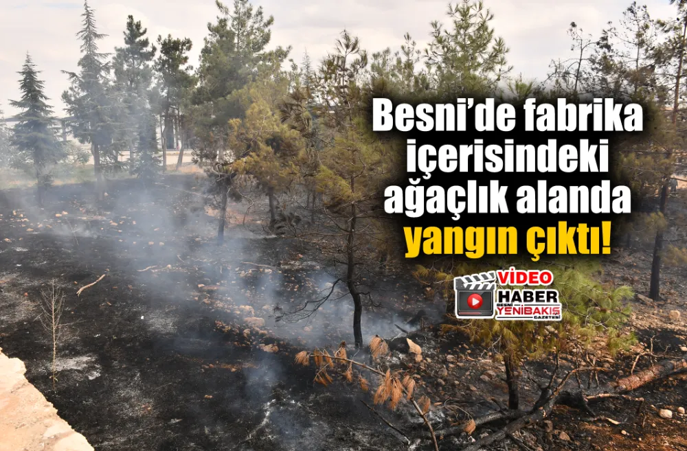 Besni’de fabrika içerisindeki ağaçlık alanda yangın çıktı