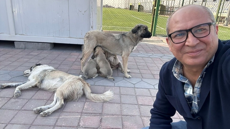 Adıyaman Nemrut Rotary Kulübü, ‘sokaktaki canlara’ umut oldu 