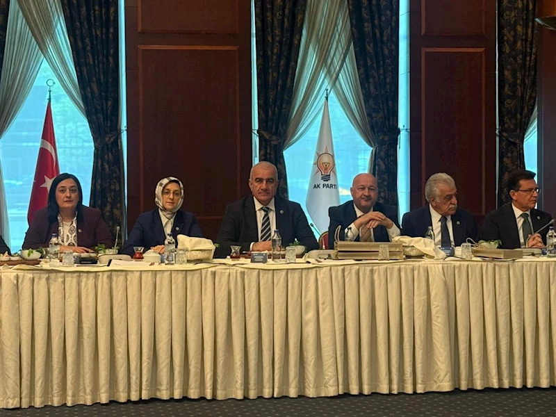 Milletvekili Özhan’dan çarşı projelerine destek mesajı: ‘Gölge Etmeyin Yeter’ 