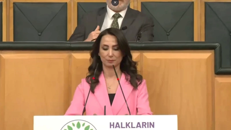 DEM Parti