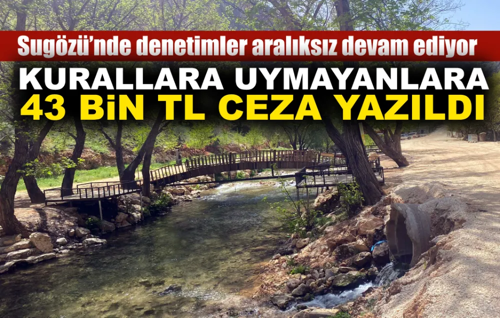 Sugözü’nde denetimler aralıksız sürüyor