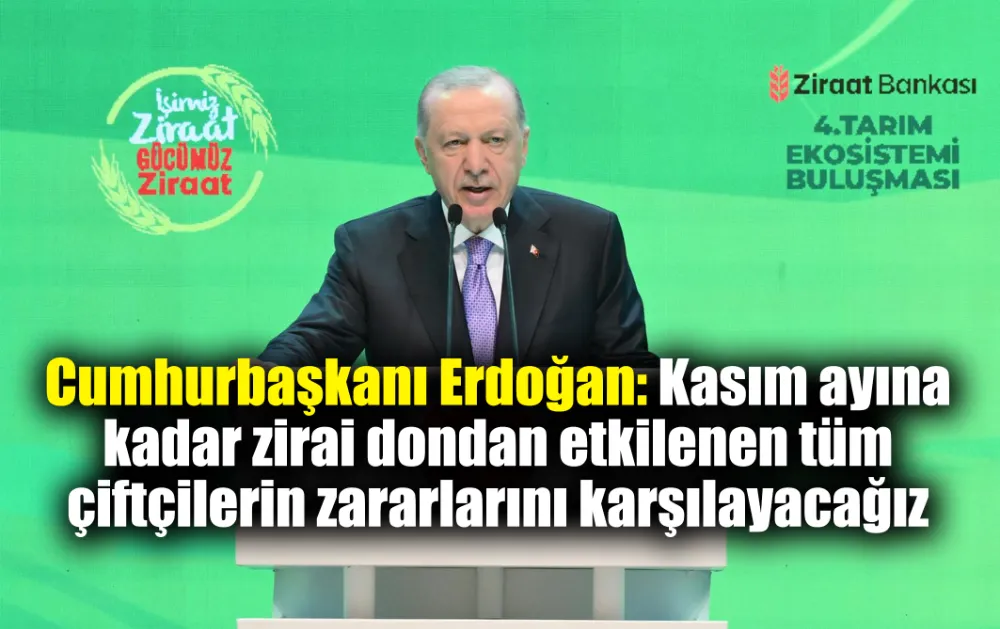 Erdoğan: Kasım ayına kadar zirai dondan etkilenen tüm çiftçilerin zararlarını karşılayacağız 
