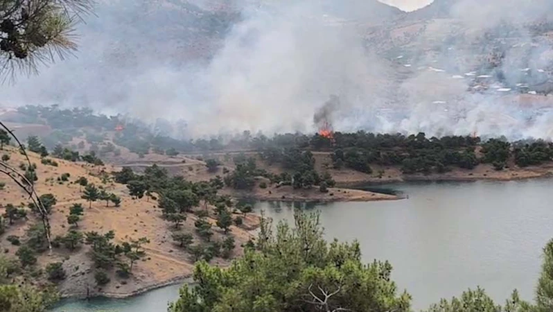 Adıyaman’da orman alanda korkutan yangın