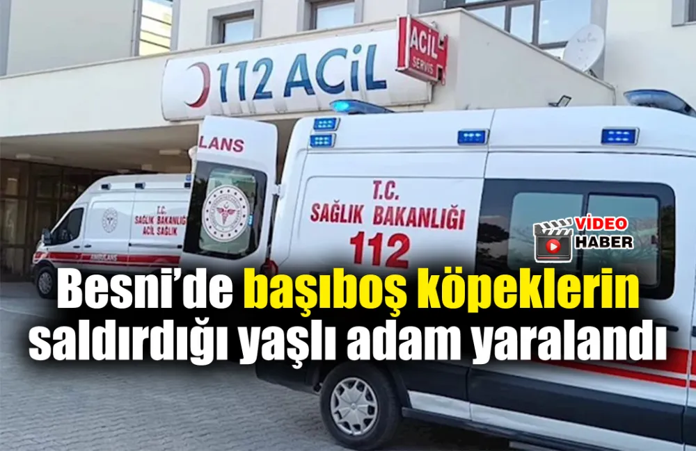 Besni