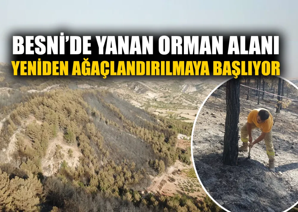 BESNİ’DE YANAN ORMAN ALANI  YENİDEN AĞAÇLANDIRILMAYA BAŞLIYOR