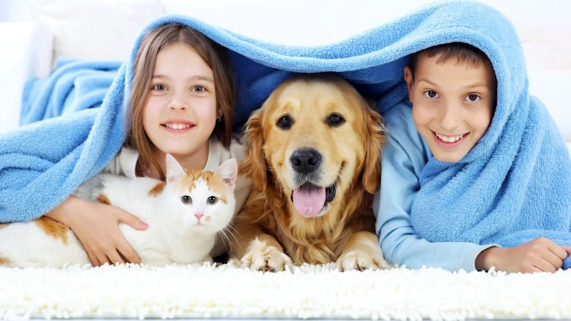 Uzmanından açıklama: Kedi ve Köpek Tüyü Hastalık Yapar mı?