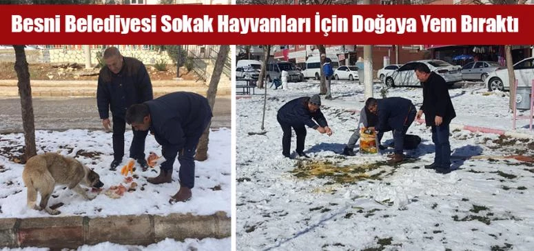 Besni Belediyesi Sokak Hayvanları İçin Doğaya Yem Bıraktı