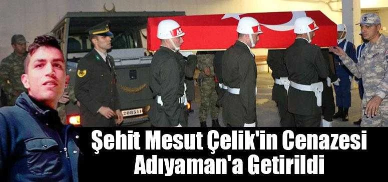 Şehit Çelik