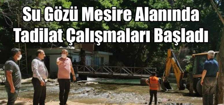 Su Gözü Mesire Alanında Tadilat Çalışmaları Başladı